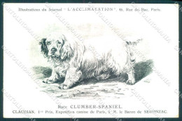 Animali Dog Cane Clumber Spaniel Postcard VK9542 - Autres & Non Classés