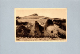 Douaumont (55) : Observatoire D"artillerie Orienté Face à La Plaine De La Woëvre - Douaumont