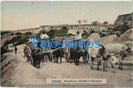 227187 ARGENTINA ENTRE RIOS PARANA COSTUMES CARGADORES SUBIENDO LA BARRANCA POSTAL POSTCARD - Argentinië