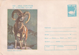 A24667 - Muflonul (Ovis Musimon), Anul European Al Ocrotirii Naturii 1980  COVER STATIONERY, ENTIER POSTAL,   ROMANIA - Interi Postali