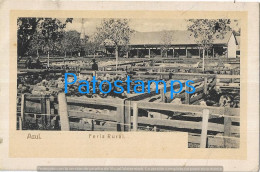 227190 ARGENTINA BUENOS AIRES FERIA RURAL ANIMALES POSTAL POSTCARD - Argentine