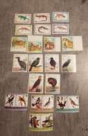 LAO&CUBA&MONTSERRAT BIRDS &WWF WILD ANIMALS & REPTILES 4 SETS MNH - Ungebraucht