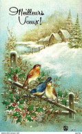 *CPM - Meilleurs Vœux - Oiseaux Dans Paysage Enneigé - New Year