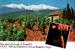 *CPM  - 66 - Mont CANIGOU - Côtes Du Roussillon - Altri & Non Classificati