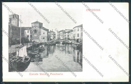 Venezia Chioggia COLLA Cartolina RB4615 - Venezia (Venice)