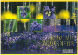 BELGIUM 2017 - Bosco Di Giacinti Di Hallerbos New Miniature Sheet - 2011-2020