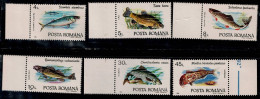 ROMANIA 1992 FISHES MI No 4776- 4781 MNH VF!! - Nuevos