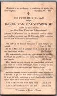 Bidprentje Wolvertem - Van Cauwenbergh Karel (1859-1939) - Devotion Images