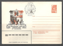 RUSSIA & USSR Chess Interzonal Chess Tournament 1979 (Riga)   Special Cancellation On Illustrated Envelope - Schach