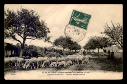 94 - LE PLESSIS-TREVISE - VILLIERS-SUR-MARNE - LA FERME DU PLESSIS - TROUPEAU DE MOUTONS CHEMIN DES POMMIERS - Le Plessis Trevise