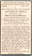 Bidprentje Wortel - Diels Jacobus (1883-1942) - Andachtsbilder