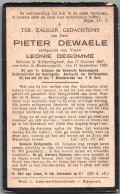 Bidprentje Wulveringem - Dewaele Pieter (1867-1927) - Devotion Images