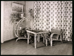 Fotografie Inneneinrichtung, Rattan-Möbel, Sessel, Tisch & Pflanzen-Regal  - Orte