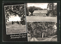 AK Lintzel /Lüneburger Heide, Brockhöfe-Bahnhof Und Waldpartie  - Lüneburg