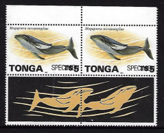 Tonga 1996 - $5.00 Whale Pair Ovptd Pecimen - Whales