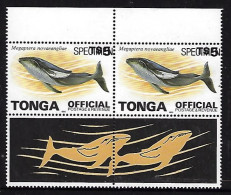 Tonga 1996 - $5.00 Whale Official Pair Ovptd Pecimen - Baleines