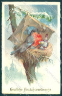 Greetings New Year Humanized Bird Toasting Serie 8368 Cartolina Postcard TW1858 - Otros & Sin Clasificación