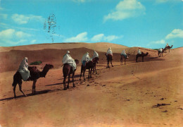 CPSM Libya-Caravan In The Desert-Beau Timbre      L2854 - Libye