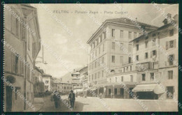 Belluno Feltre Palazzo Zugni Porta Castaldi Cartolina RB7815 - Belluno