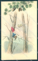Artist Signed Gnome Playing Instrument RFW Serie 141 Cartolina Postcard TW1676 - Altri & Non Classificati