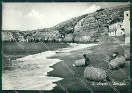 Napoli Ischia Sant'Angelo MACCHIA Foto FG Cartolina ZK3318 - Napoli (Naples)