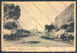 Viterbo Tarquinia FG Cartolina ZF8578 - Viterbo