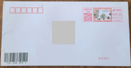 China Cover "Pear City, Pear Blossoms" (Korla, Xinjiang) Colored Postage Machine Stamp First Day Actual Mail Seal - Briefe