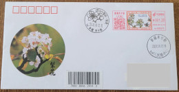 China Cover "Pear City, Pear Blossoms" (Korla, Xinjiang) Colored Postage Machine Stamp First Day Actual Mail Seal - Sobres