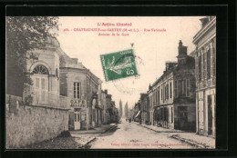 CPA Chateauneuf-sur-Sarthe, L`Anjou Illustré, Rue Nationale, Avenue De La Gare  - Chateauneuf Sur Sarthe