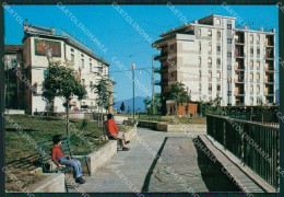 Salerno Sala Consilina MACCHIA Foto FG Cartolina ZKM7290 - Salerno