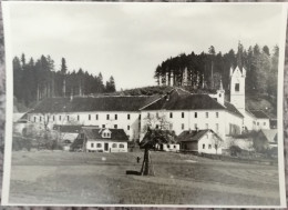 MEKINJE, ZASEBNA DEKLIŠKA MEŠČANSKA ŠOLA PRI URŠULINKAH, Fotografija - Slovenia