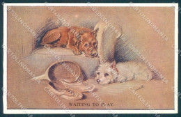 Animals Mac Dog Maltese Tennis Sport Valentines 1106 Cartolina Postcard TW1373 - Autres & Non Classés