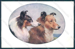 Animals Reichert Dog Collie MM Vienne 1219 Cartolina Postcard TW1259 - Autres & Non Classés