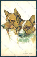 Animals Norfini Dog Lapponian Herder Serie 707-2 Cartolina Postcard TW1307 - Other & Unclassified