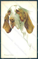 Animals Norfini Dog Bracco Italiano Serie 707-1 Cartolina Postcard TW1305 - Other & Unclassified