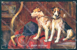 Animals Philip Stretton Dog Fox Terrier Tucks Oilette 9376 Postcard TW1303 - Other & Unclassified