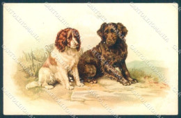 Animals Dog Cocker Cartolina Postcard TW1282 - Other & Unclassified