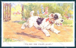 Animals Florence Valter Dog Cairn Terrier ? Valentines 541 Postcard TW1237 - Other & Unclassified