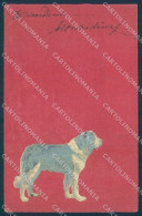 Animals Dog Saint Bernard Relief Cartolina Postcard TW1279 - Other & Unclassified