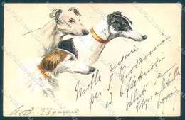 Animals Dog Italian Greyhound Serie 6 CORNER CREASE Cartolina Postcard TW1245 - Other & Unclassified