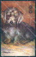 Animals Maud West Watson Dandie Dinmont Terrier Dog Tuck Oilette Postcard TW1240 - Other & Unclassified