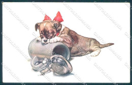 Animals Dog Puppy BKWI 607-2 Cartolina Postcard TW1223 - Other & Unclassified