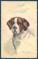 Animals MB Cooper Saint Bernard Dog Serie 1163 Cartolina Postcard TW1152 - Other & Unclassified