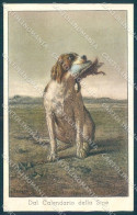 Animals Treyon ? Pointer Dog Advertising Hunting Woodcock Postcard TW1151 - Other & Unclassified