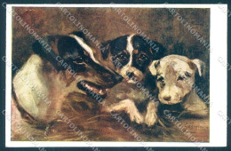 Animals Dog Fox Terrier BKWI 367-2 Cartolina Postcard TW1195 - Sonstige & Ohne Zuordnung