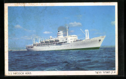 AK Passagierschiff SS Theodor Herzl Vor Der Küste  - Dampfer