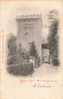 42 ROANNE LE CHATEAU DE BOISY - Roanne