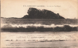 29 CAMARET SUR MER LE LION DU TOULINGUET - Camaret-sur-Mer