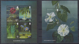 Montserrat - 2013 - Blossoming Plants - Yv 1497/00 + Bf 146 - Andere & Zonder Classificatie