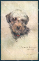 Animals Maud West Watson Dandie Dinmont Terrier Tucks Oilette 9681 Pc TW1330 - Sonstige & Ohne Zuordnung
